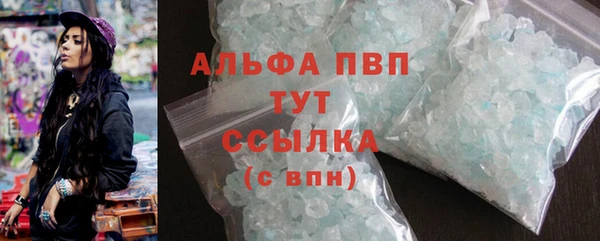 шишки Гусиноозёрск