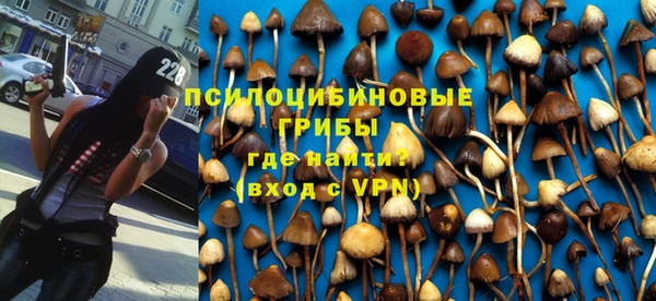 мескалин Гусев