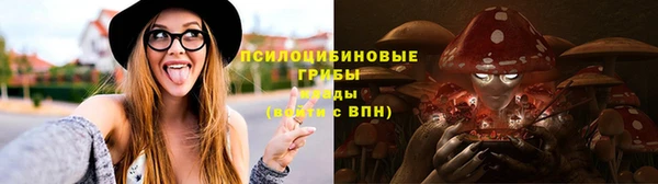 мескалин Гусев