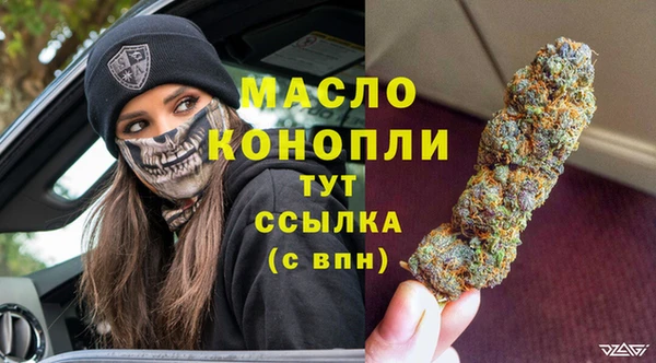 шишки Гусиноозёрск
