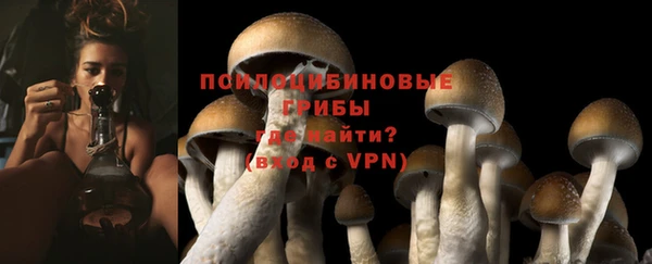 шишки Гусиноозёрск
