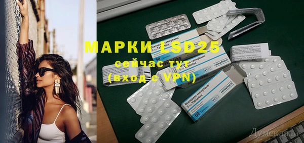 шишки Гусиноозёрск