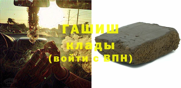 шишки Гусиноозёрск