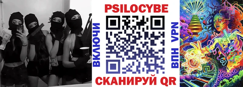 Галлюциногенные грибы Cubensis  Купить  Камень-на-Оби 